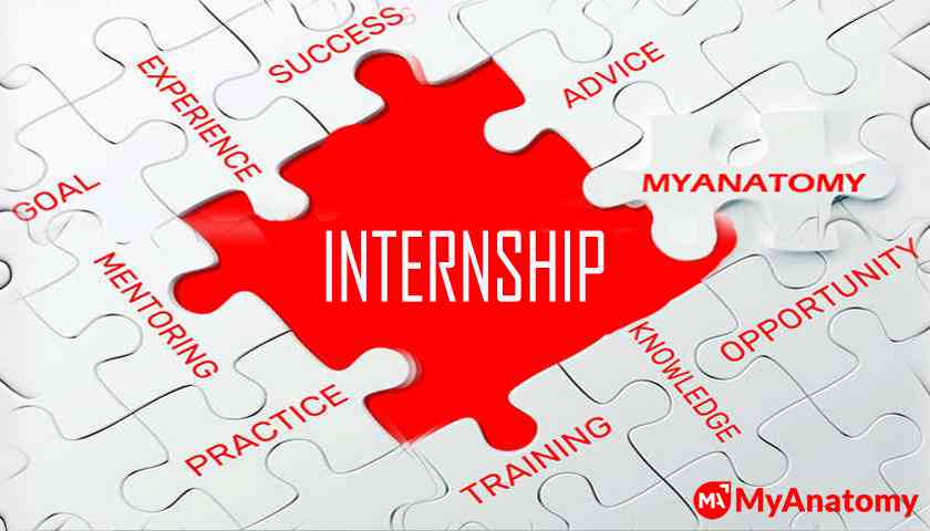 the-importance-of-internship.jpg